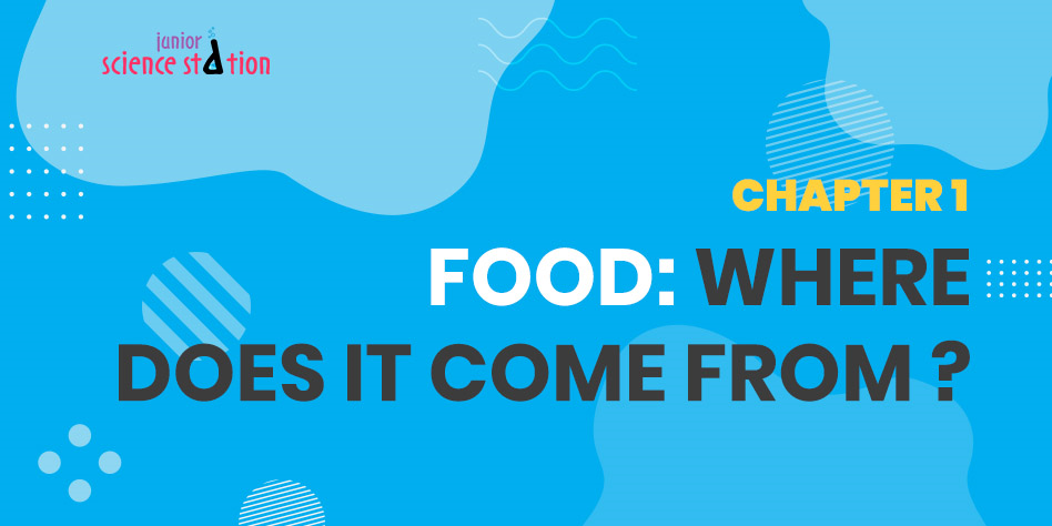 Chapter 1 - Food:Where Does it Come From ?