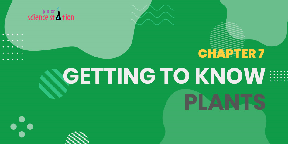 Chapter 7 - Getting to Know Plants