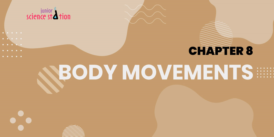 Chapter 8 - Body Movements