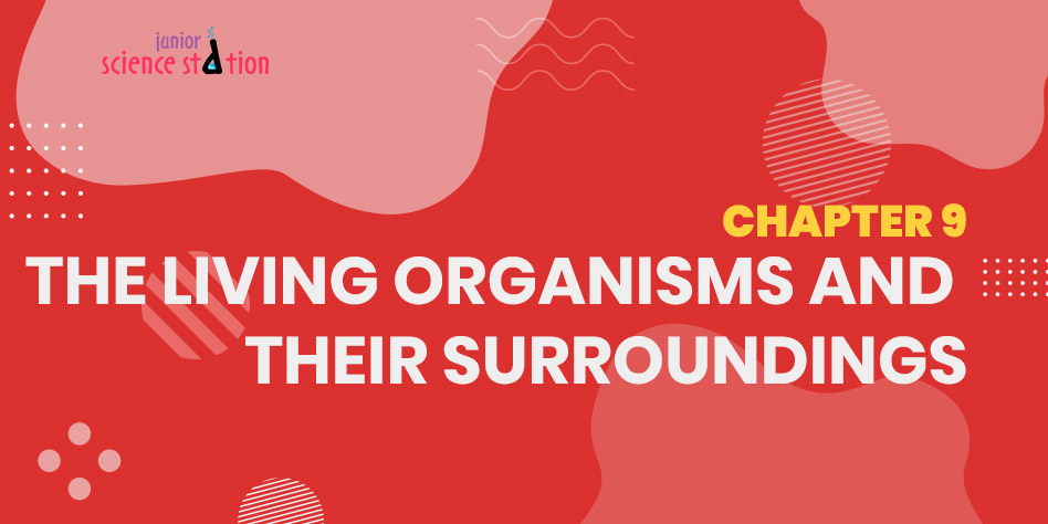 Chapter 9 - The Living Organisms and Their Surroundings