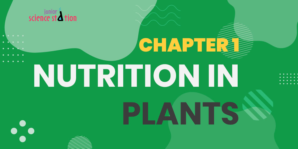 Chapter 1 - Nutrition in Plants