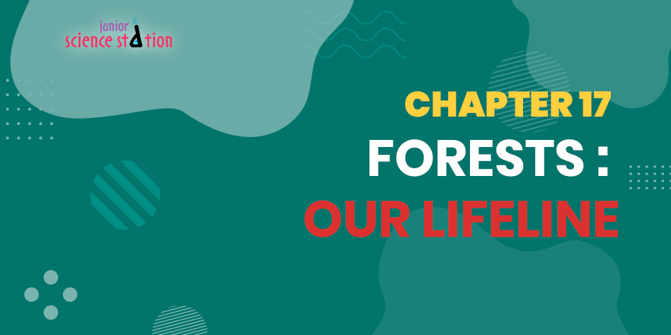 Chapter 17 - Forests:Our Lifeline