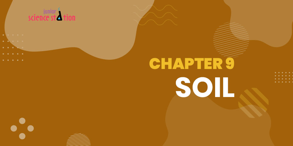 Chapter 9 - Soil