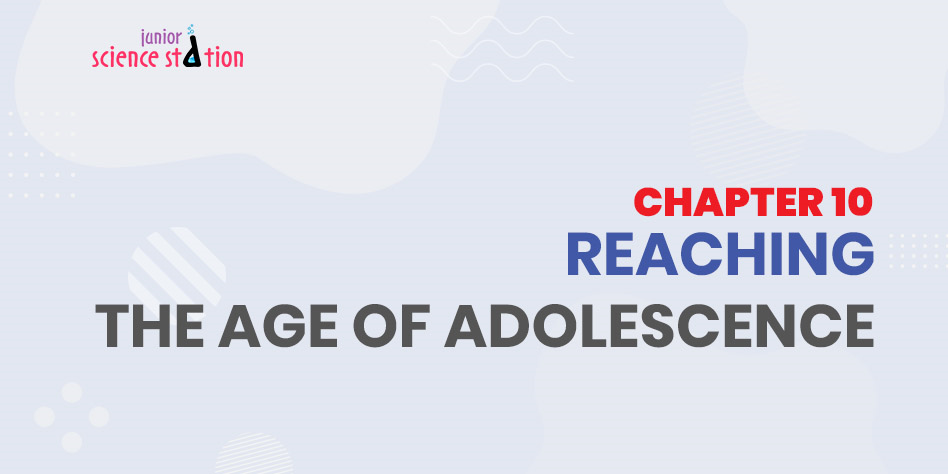 Chapter 10 - Reaching the Age of Adolescence