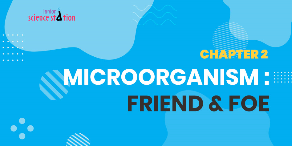 Chapter 2 - Microorganism:Friend & Foe