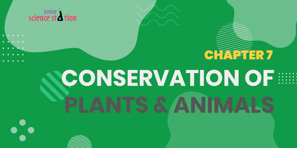 Chapter 7 - Conservation of Plants & Animals