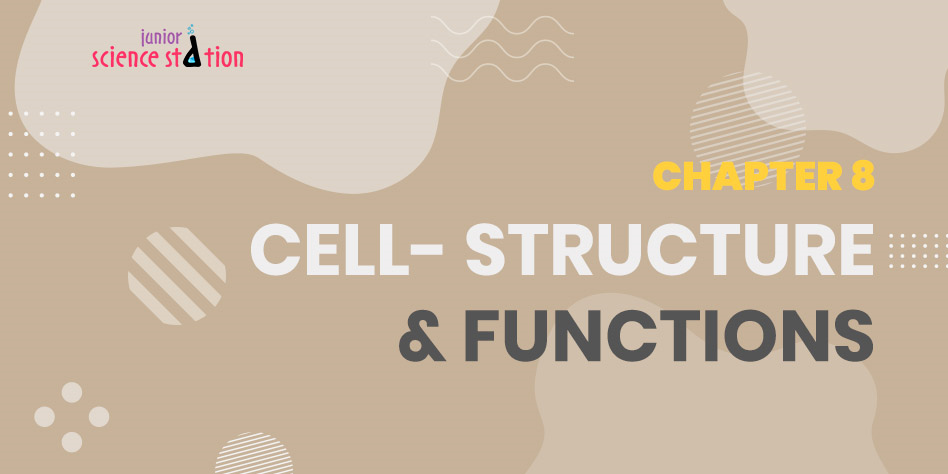 Chapter 8 - Cell- Structure & Functions